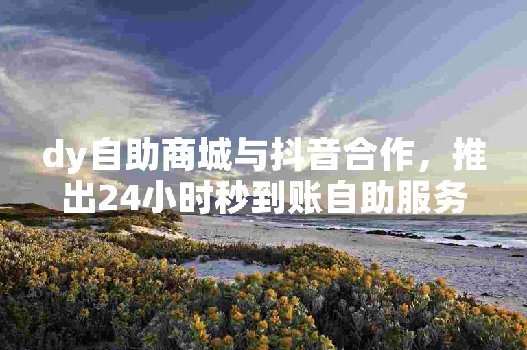 dy自助商城与抖音合作，推出24小时秒到账自助服务平台