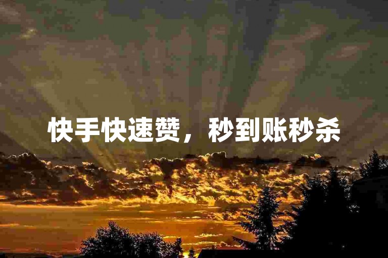 快手快速赞，秒到账秒杀