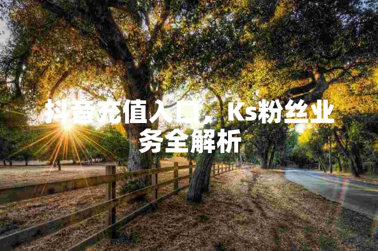 抖音充值入口，Ks粉丝业务全解析