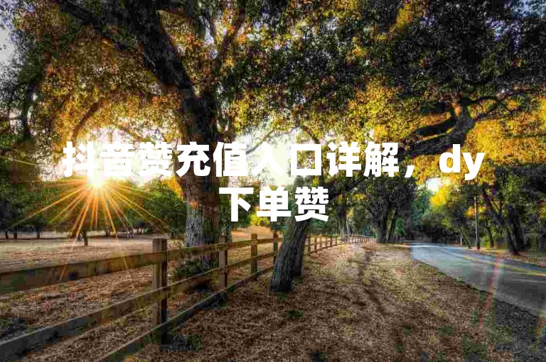 抖音赞充值入口详解，dy下单赞