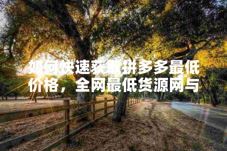 如何快速获取拼多多最低价格，全网最低货源网与Ks赞秘籍全解析