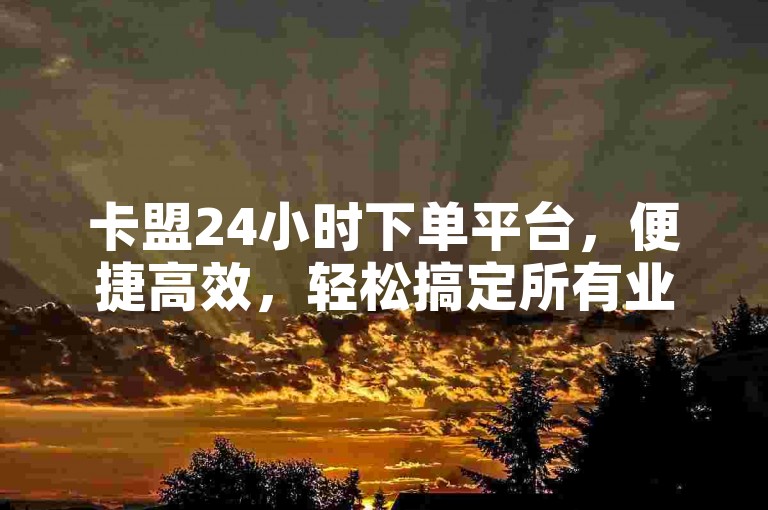 卡盟24小时下单平台，便捷高效，轻松搞定所有业务