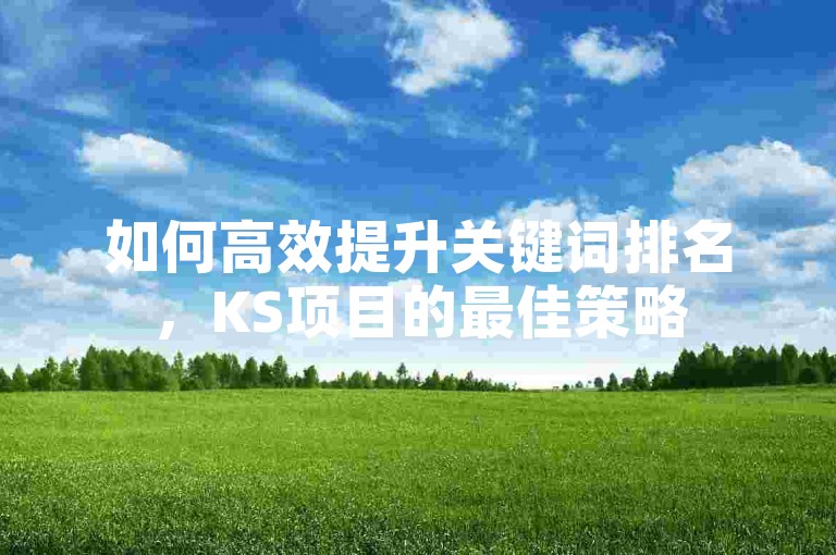 如何高效提升关键词排名，KS项目的最佳策略