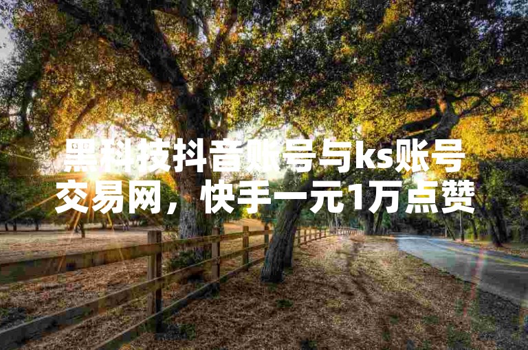 黑科技抖音账号与ks账号交易网，快手一元1万点赞链接助力流量狂刷器