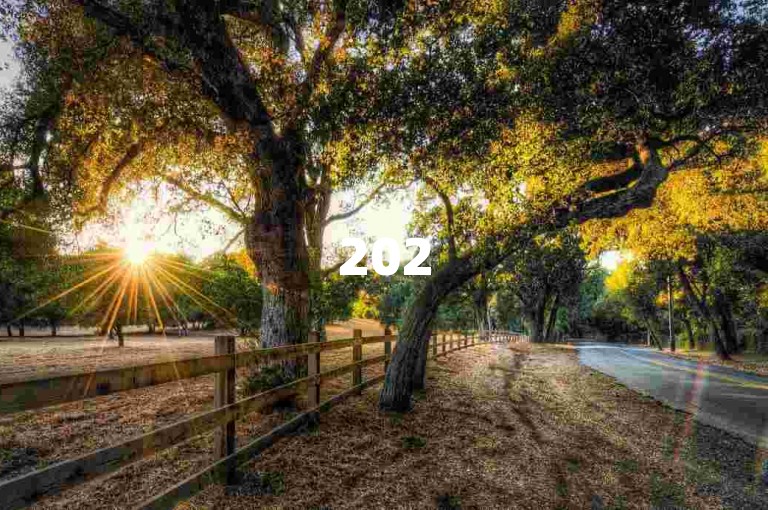 2025年必学，QQ说说低价抢购立减秘籍