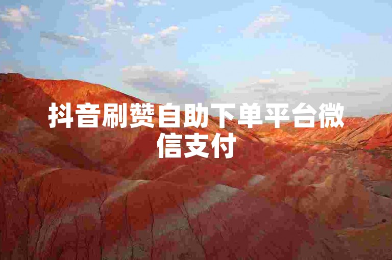 抖音刷赞自助下单平台微信支付