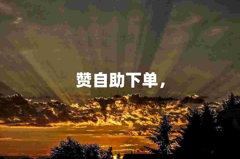 赞自助下单，51卡盟等你来领