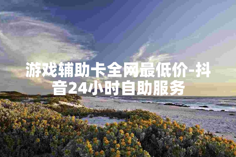 游戏辅助卡全网最低价-抖音24小时自助服务