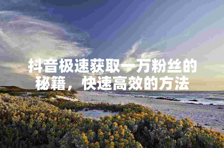 抖音极速获取一万粉丝的秘籍，快速高效的方法