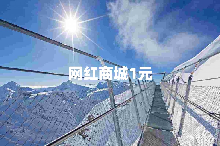 网红商城1元5000粉丝-24小时自助下单平台