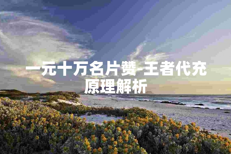 一元十万名片赞-王者代充原理解析