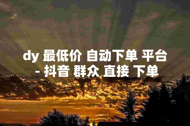 dy 最低价 自动下单 平台 - 抖音 群众 直接 下单