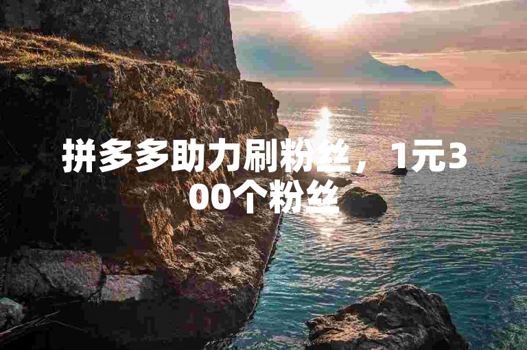 拼多多助力刷粉丝，1元300个粉丝