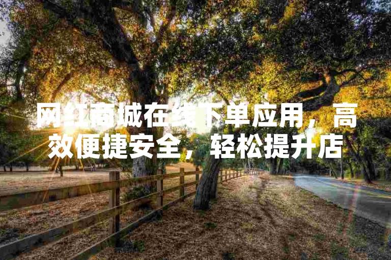 网红商城在线下单应用，高效便捷安全，轻松提升店铺曝光