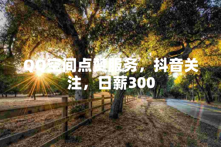 QQ空间点赞服务，抖音关注，日薪300