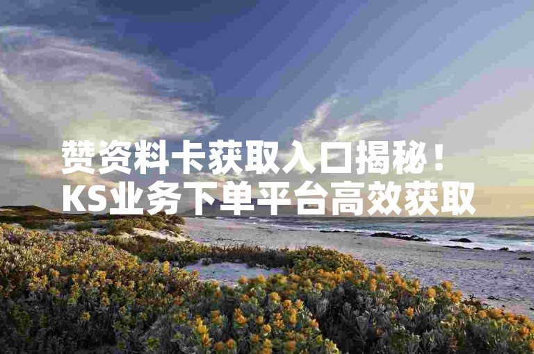 赞资料卡获取入口揭秘！ KS业务下单平台高效获取资料卡