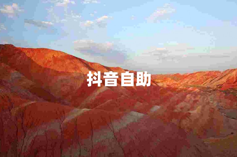 抖音自助520卡盟自助平台