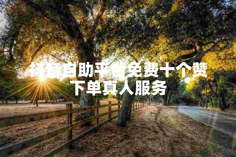 抖音自助平台免费十个赞下单真人服务