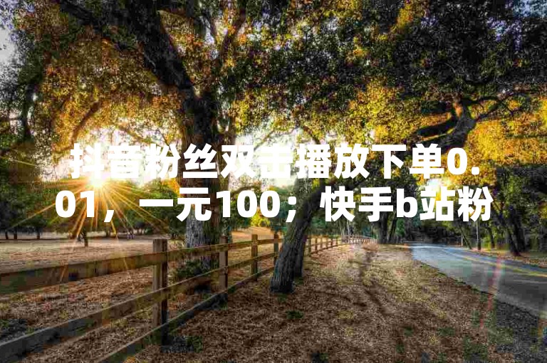 抖音粉丝双击播放下单0.01，一元100；快手b站粉丝一元1000个活粉