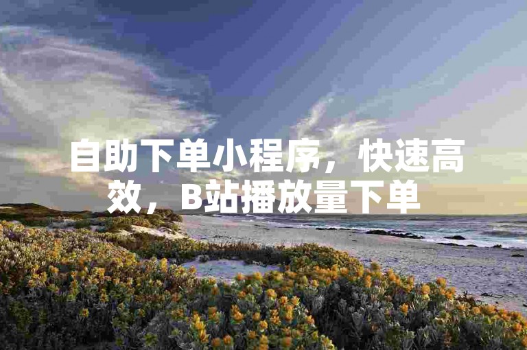 自助下单小程序，快速高效，B站播放量下单