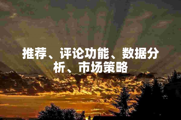 推荐、评论功能、数据分析、市场策略