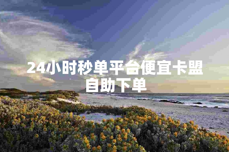 24小时秒单平台便宜卡盟自助下单