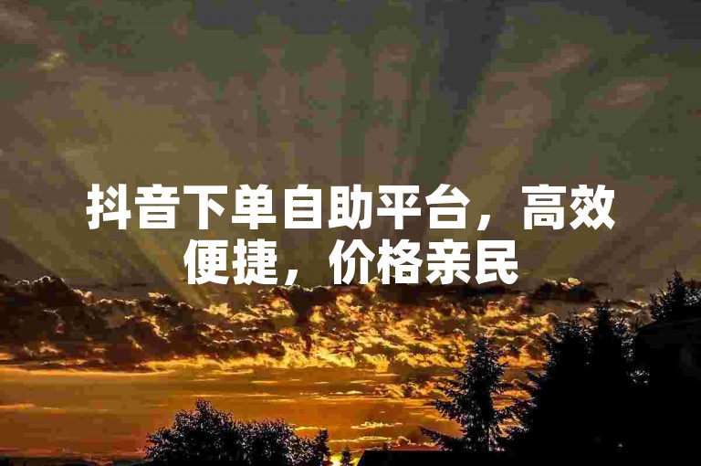抖音下单自助平台，高效便捷，价格亲民
