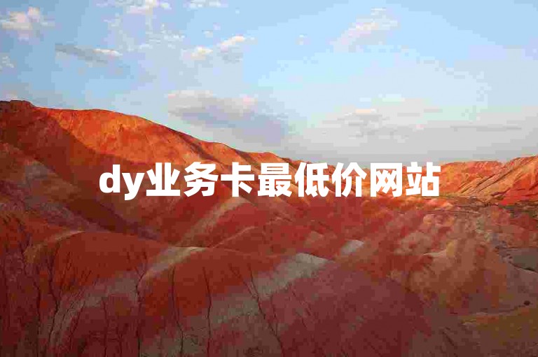 dy业务卡最低价网站