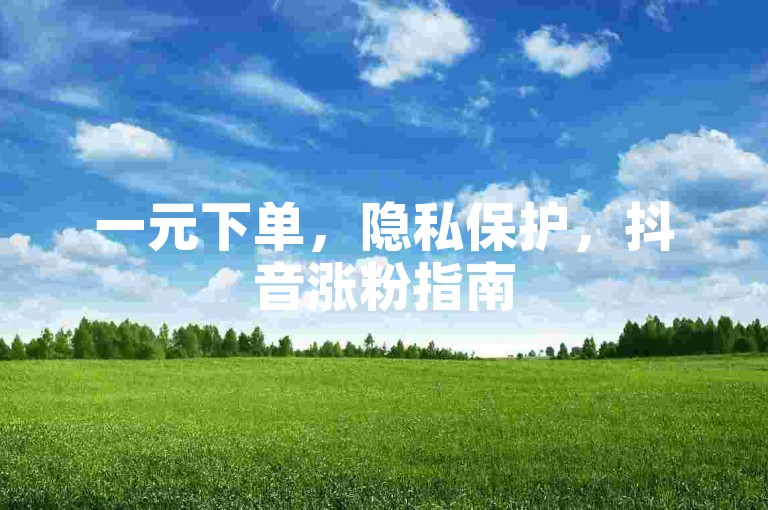 一元下单，隐私保护，抖音涨粉指南