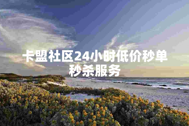 卡盟社区24小时低价秒单秒杀服务