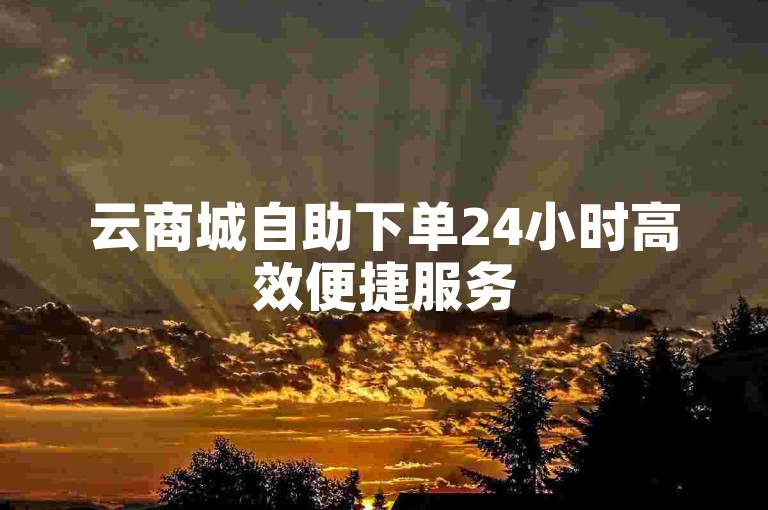 云商城自助下单24小时高效便捷服务
