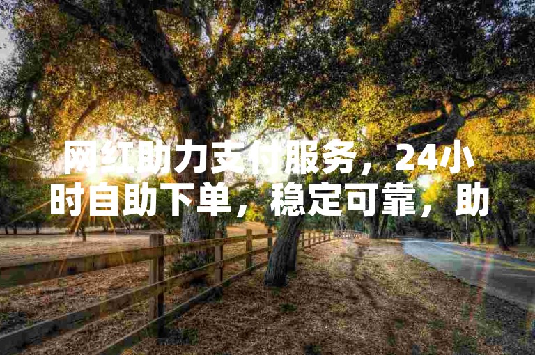 网红助力支付服务，24小时自助下单，稳定可靠，助力用户退款