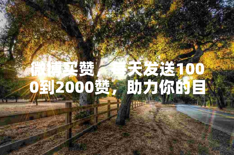 微博买赞，每天发送1000到2000赞，助力你的目标