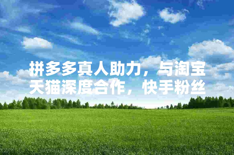 拼多多真人助力，与淘宝天猫深度合作，快手粉丝平台永不掉粉