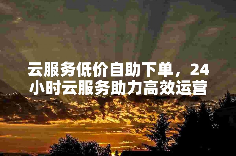 云服务低价自助下单，24小时云服务助力高效运营