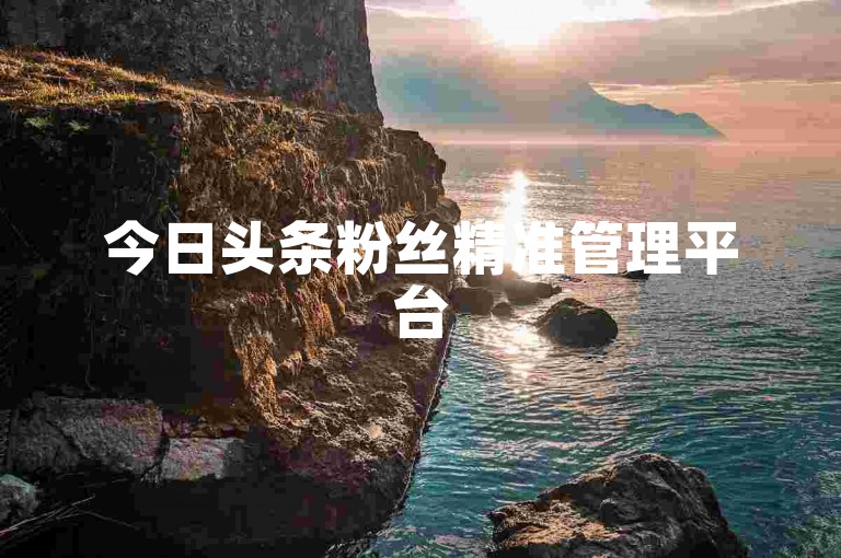 今日头条粉丝精准管理平台