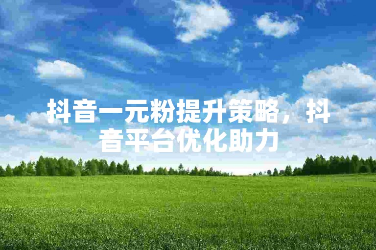 抖音一元粉提升策略，抖音平台优化助力