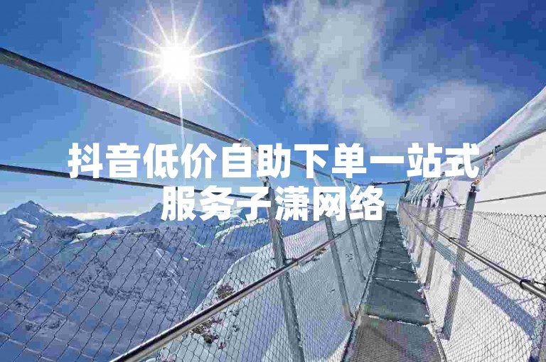 抖音低价自助下单一站式服务子潇网络