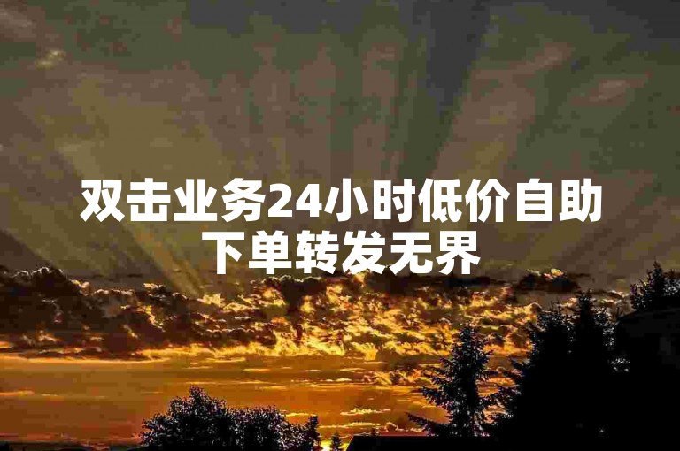 双击业务24小时低价自助下单转发无界