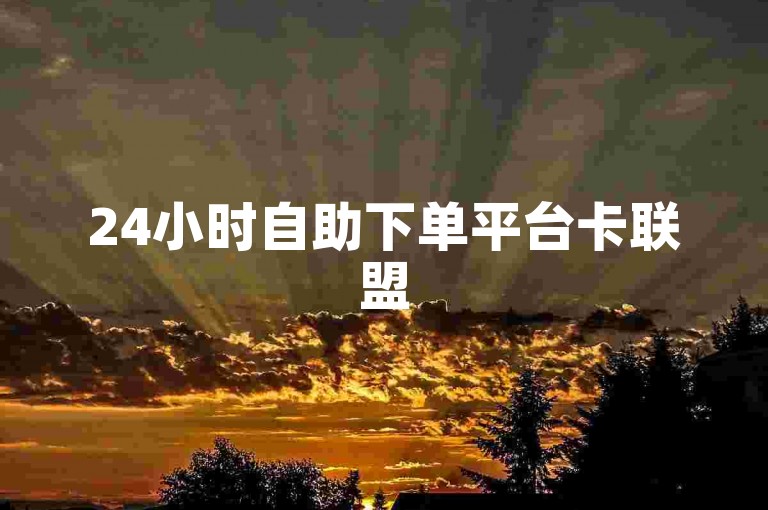 24小时自助下单平台卡联盟
