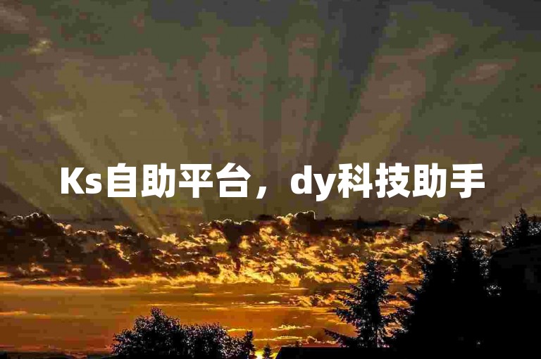 Ks自助平台，dy科技助手