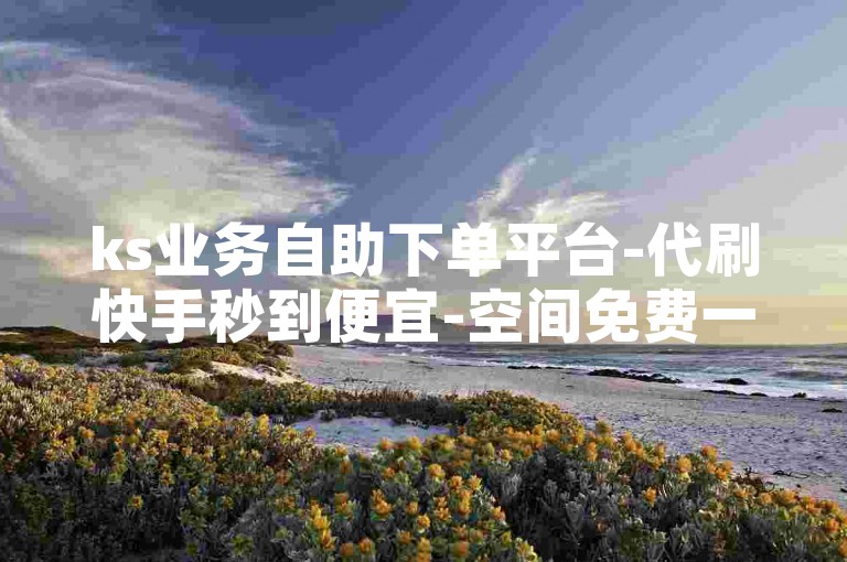 ks业务自助下单平台-代刷快手秒到便宜-空间免费一次