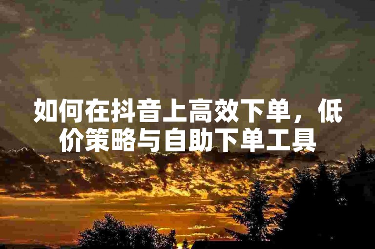 如何在抖音上高效下单，低价策略与自助下单工具