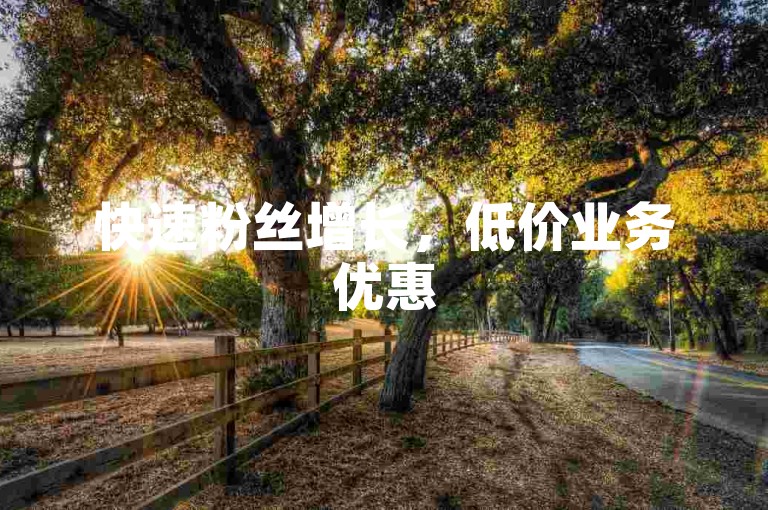 快速粉丝增长，低价业务优惠