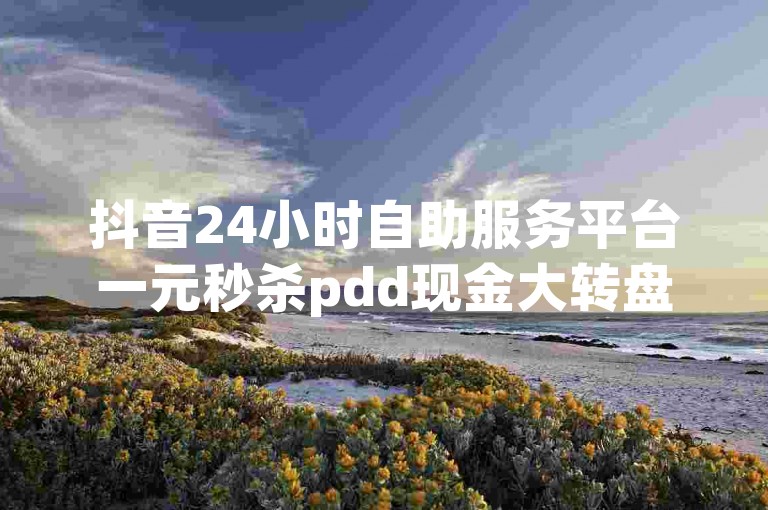 抖音24小时自助服务平台一元秒杀pdd现金大转盘dy业务卡盟网站活动