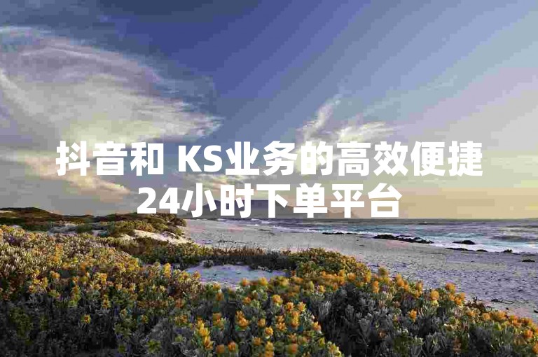 抖音和 KS业务的高效便捷24小时下单平台
