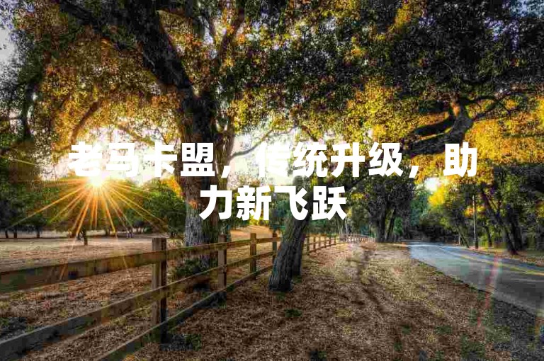 老马卡盟，传统升级，助力新飞跃