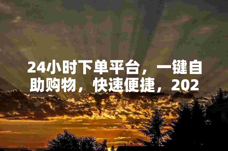 24小时下单平台，一键自助购物，快速便捷，2025必学！