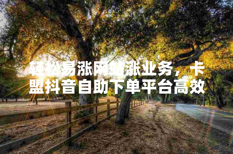 轻松易涨网站涨业务，卡盟抖音自助下单平台高效便捷