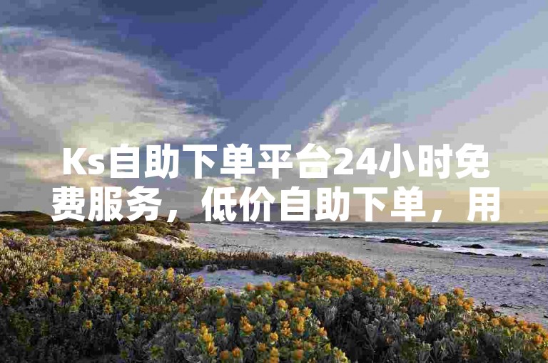 Ks自助下单平台24小时免费服务，低价自助下单，用户友好，快速下单， instant checkout